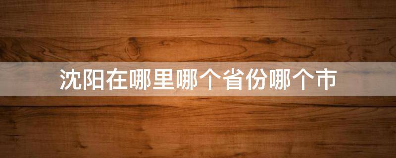 沈阳在哪里哪个省份哪个市（沈阳在哪个省市?）