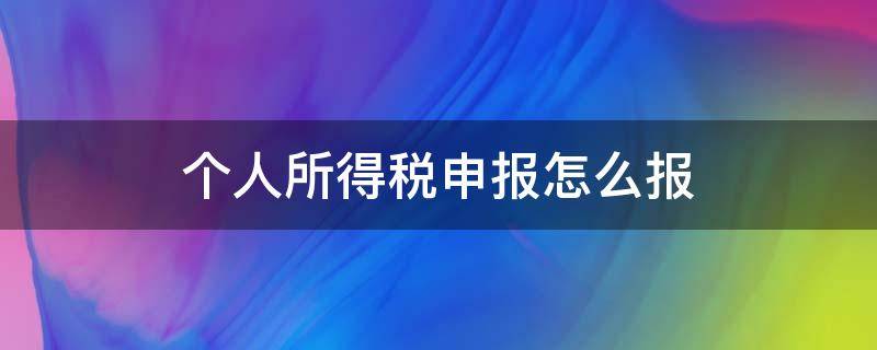 个人所得税申报怎么报（个人所得税报税怎么申报）