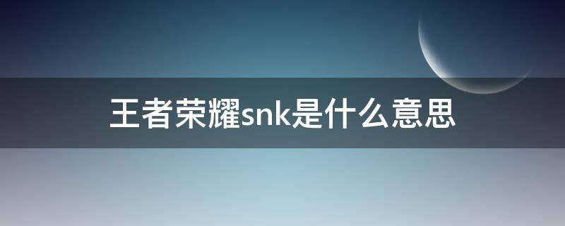 王者荣耀snk是什么意思 王者里面的snk是什么意思