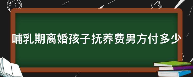 哺乳期离婚孩子抚养费男方付多少 哺乳期离婚女方要孩子抚养费男方给多少