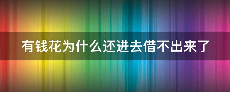 有钱花为什么还进去借不出来了（有钱花为啥还了借不出来）