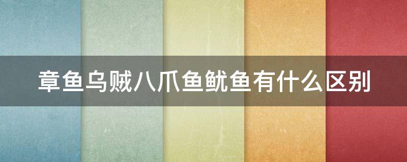 章鱼乌贼八爪鱼鱿鱼有什么区别 章鱼,乌贼,八爪鱼,鱿鱼,有什么区别?