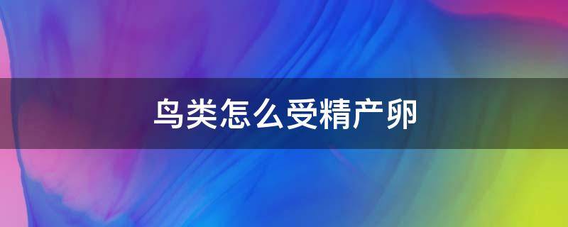 鸟类怎么受精产卵（鸟类怎么受精产卵图片）