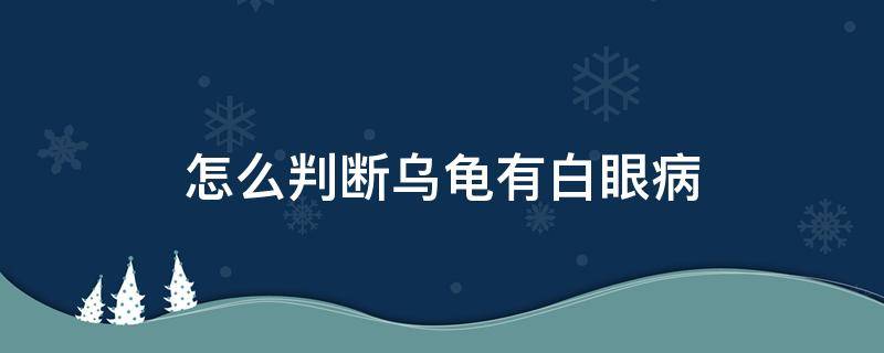 怎么判断乌龟有白眼病（怎么看乌龟有没有得白眼病）