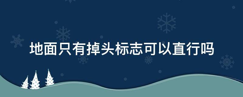 地面只有掉头标志可以直行吗 地面只有掉头标志可以直行吗?没有禁止直行标志