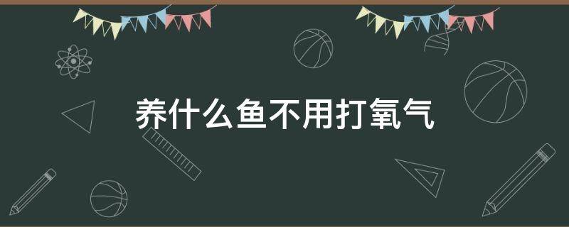 养什么鱼不用打氧气 养什么鱼不用打氧气不用加热棒