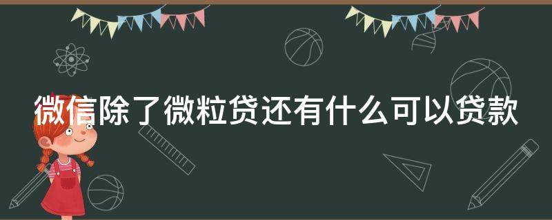 微信除了微粒贷还有什么可以贷款（微信除了微粒贷还有什么可以贷款的平台）