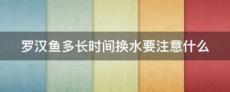 罗汉鱼多长时间换水要注意什么（罗汉鱼多长时间换水要注意什么事项）