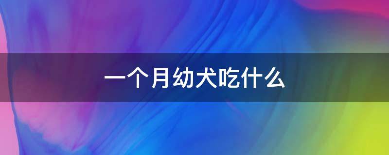 一个月幼犬吃什么（一个月幼犬吃什么羊奶粉）