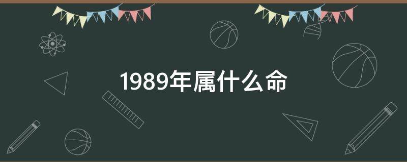 1989年属什么命