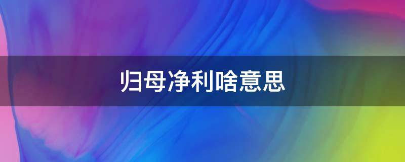 归母净利啥意思（归母净利润和净利润）