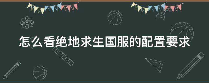 怎么看绝地求生国服的配置要求（2021年绝地求生怎么看什么服）