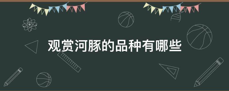 观赏河豚的品种有哪些（观赏鱼河豚种类）