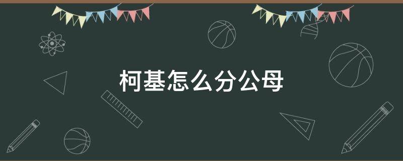 柯基怎么分公母 柯基怎么分公母图解