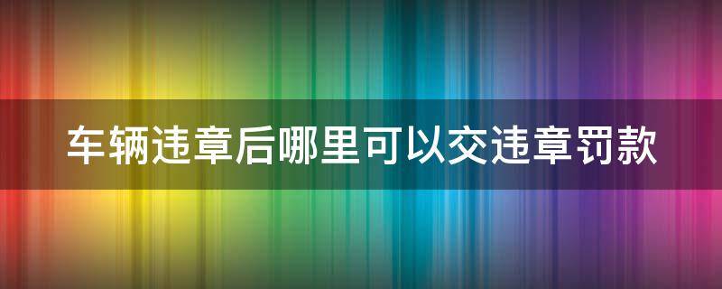 车辆违章后哪里可以交违章罚款 车违章可以在哪里交