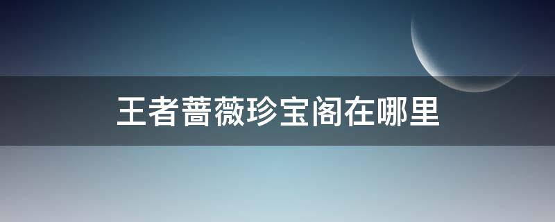 王者蔷薇珍宝阁在哪里 王者蔷薇珍宝阁在哪里看