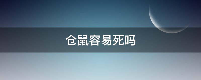 仓鼠容易死吗（夏天仓鼠容易死吗）