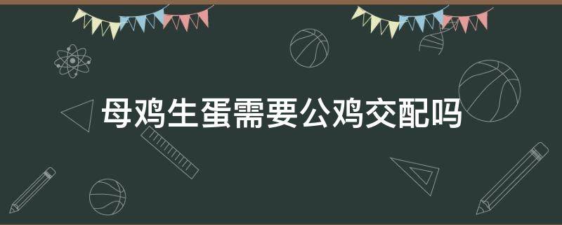 母鸡生蛋需要公鸡交配吗 母鸡需要配对才能生蛋吗