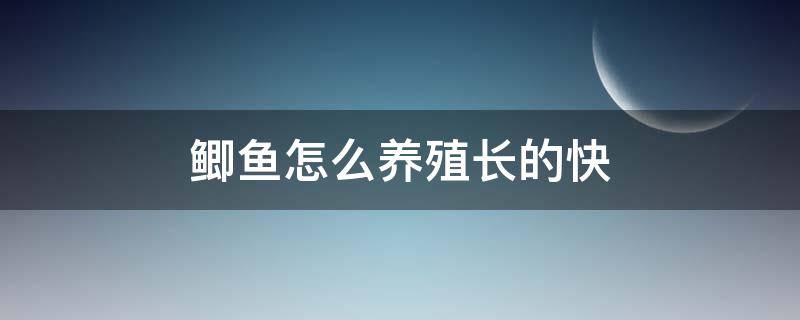 鲫鱼怎么养殖长的快 养殖鲫鱼生长速度