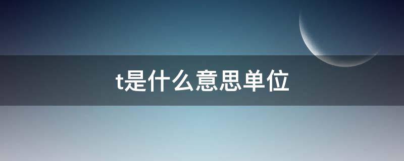 t是什么意思单位（t是单位是什么）