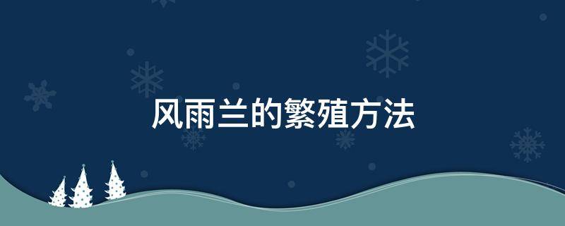 风雨兰的繁殖方法 风雨兰花怎么繁殖