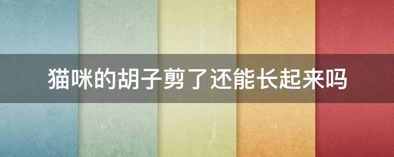 猫咪的胡子剪了还能长起来吗 猫咪胡子剪了还会长吗