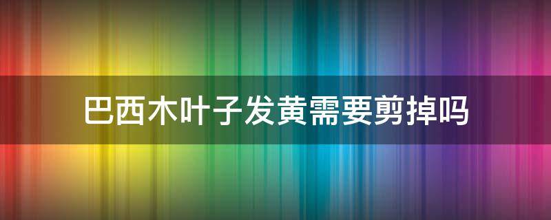 巴西木叶子发黄需要剪掉吗（巴西木叶子变黄怎么办?）