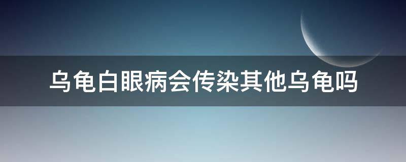 乌龟白眼病会传染其他乌龟吗 乌龟白眼病传染吗给其他乌龟吗