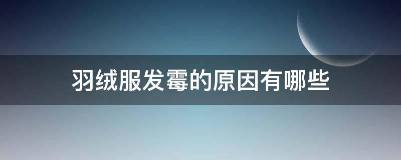 羽绒服发霉的原因有哪些 羽绒被发霉是什么样的