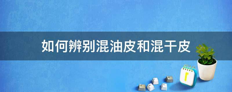 如何辨别混油皮和混干皮 怎么分辨是混油皮还是混干皮