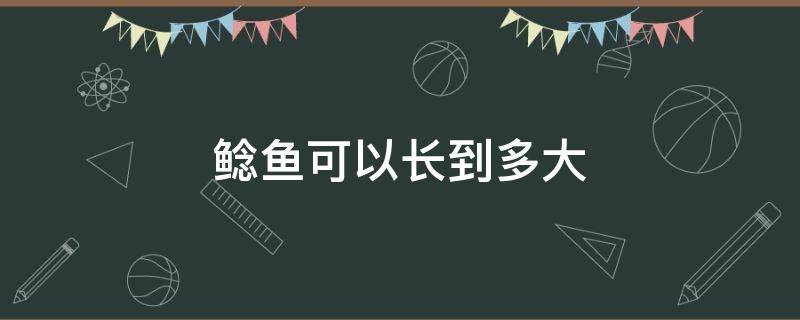 鲶鱼可以长到多大（鲶鱼可以长到多长）