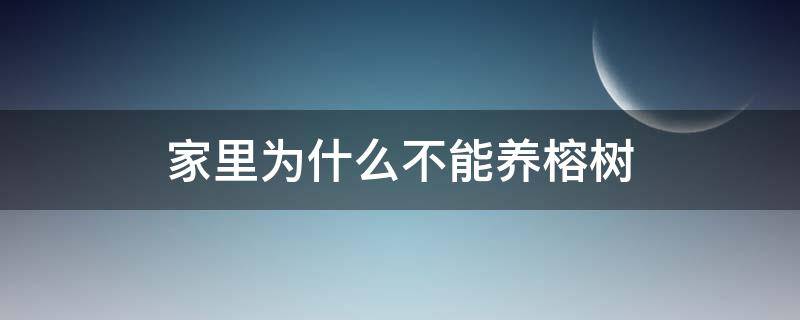 家里为什么不能养榕树（家里为什么不能养榕树 风水）