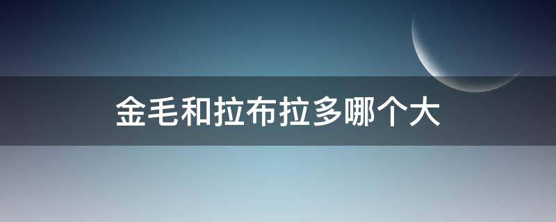 金毛和拉布拉多哪个大（金毛和拉布拉多哪个大一些）