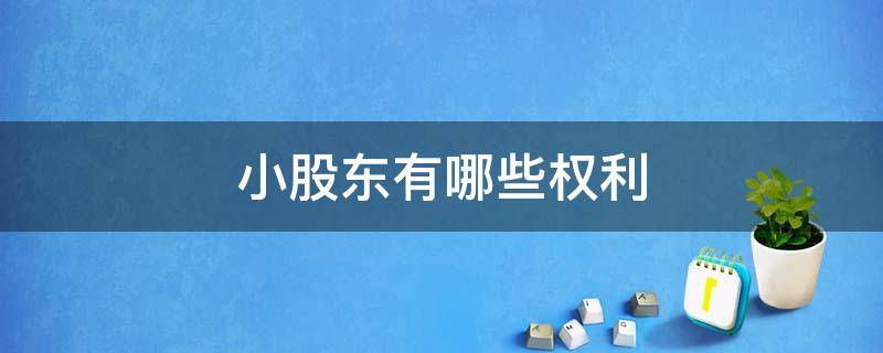 小股东有哪些权利 大股东和小股东有哪些权利