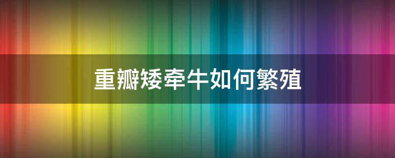 重瓣矮牵牛如何繁殖 单瓣矮牵牛怎么繁殖