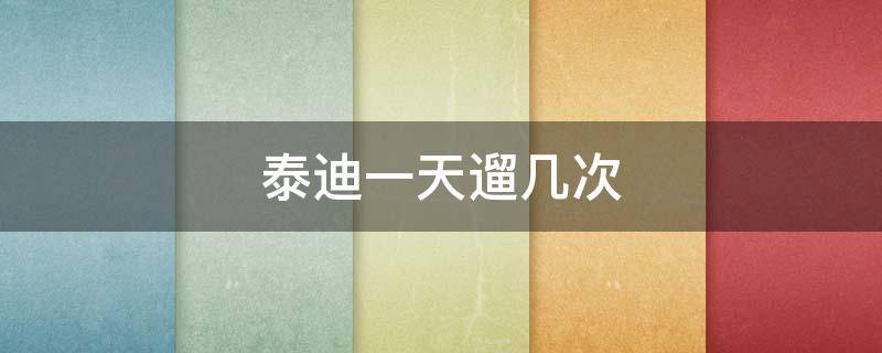 泰迪一天遛几次 泰迪一天遛几次才不会往家里尿