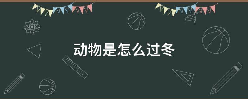 动物是怎么过冬 动物是怎么过冬的答案