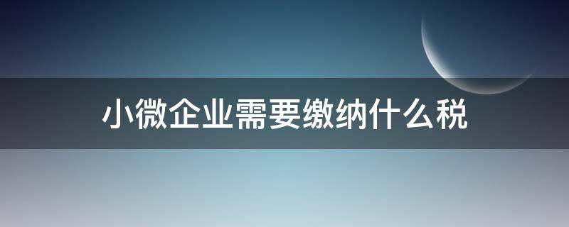 小微企业需要缴纳什么税（小微企业需要缴税吗）