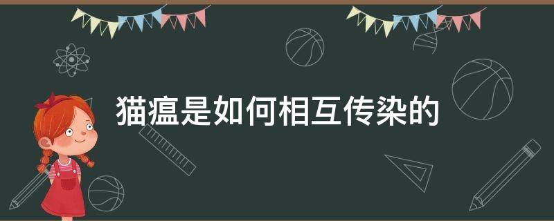 猫瘟是如何相互传染的 猫瘟通过什么方式传染给别的猫