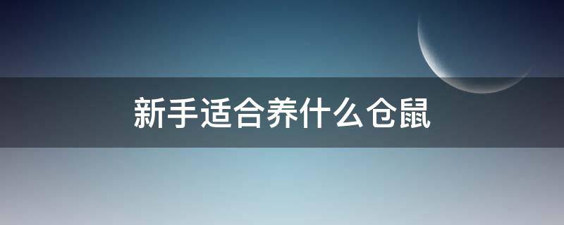 新手适合养什么仓鼠（新手最好养什么仓鼠）