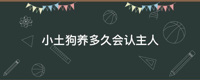 小土狗养多久会认主人（小土狗多少天会认人）