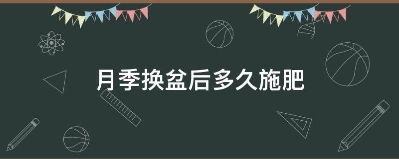 月季换盆后多久施肥（月季什么时候换盆加底肥）