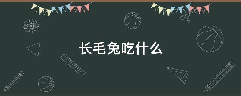 长毛兔吃什么 长毛兔吃什么蔬菜