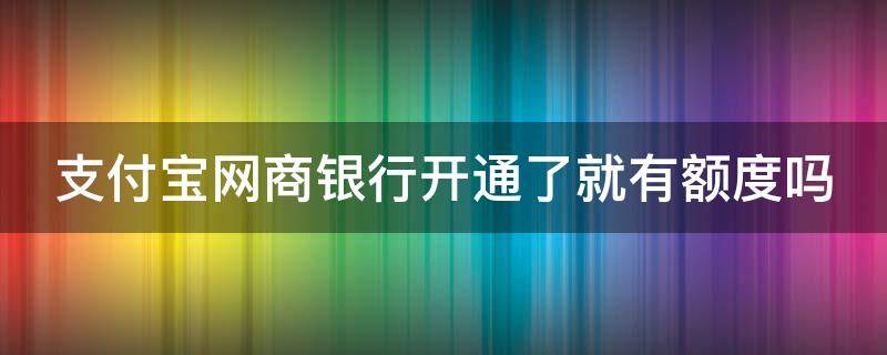 支付宝网商银行开通了就有额度吗（支付宝网商银行开通了怎么没有额度）