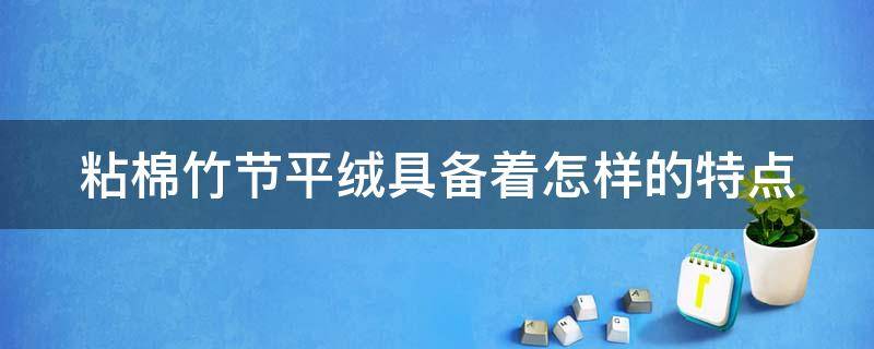 粘棉竹节平绒具备着怎样的特点（粘棉竹节平绒具备着怎样的特点呢）