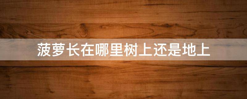 菠萝长在哪里树上还是地上 菠萝是长在树上还是地里?