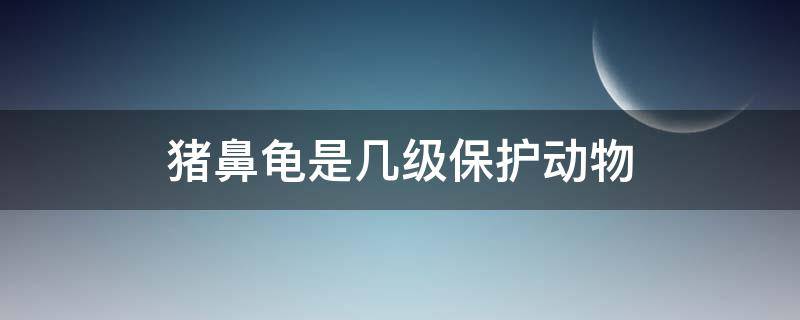 猪鼻龟是几级保护动物 猪鼻龟被列入国家二级动物了么