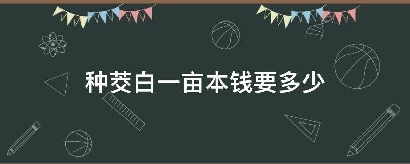 种茭白一亩本钱要多少 茭白一亩地利润多少