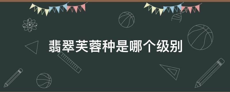 翡翠芙蓉种是哪个级别 翡翠芙蓉种是哪个级别百度