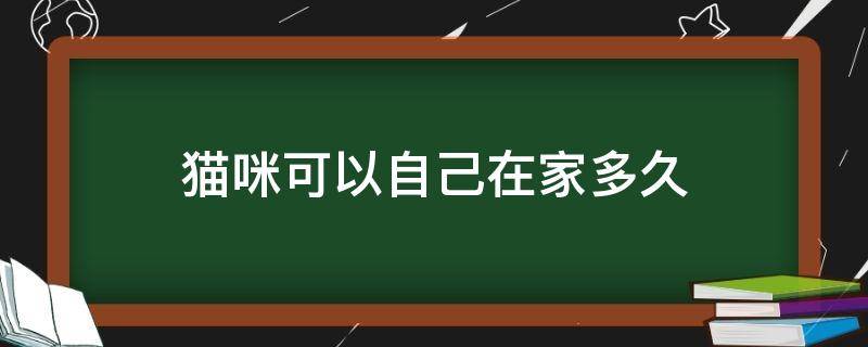 猫咪可以自己在家多久 猫能自己在家多久